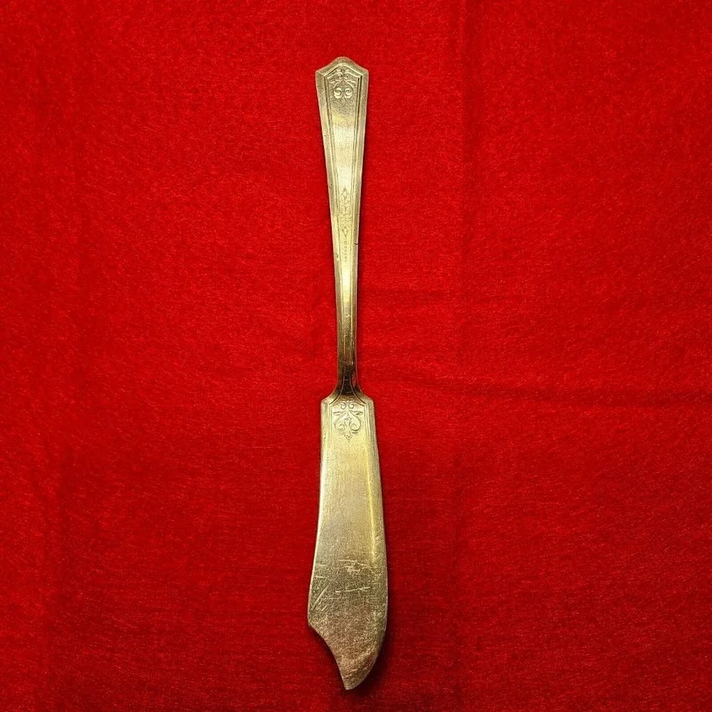 1881 Rogers A1 Silver-Plate Silverware - Butter Knife